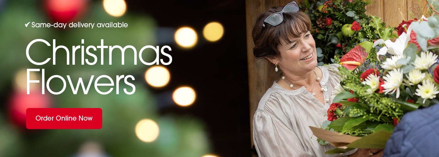 Seasonal bouquets from Violet And Ivys in Durham offering same-day delivery